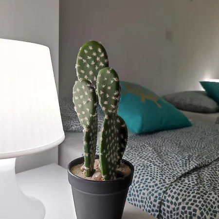 Apartment Playa Bonita Relax House *