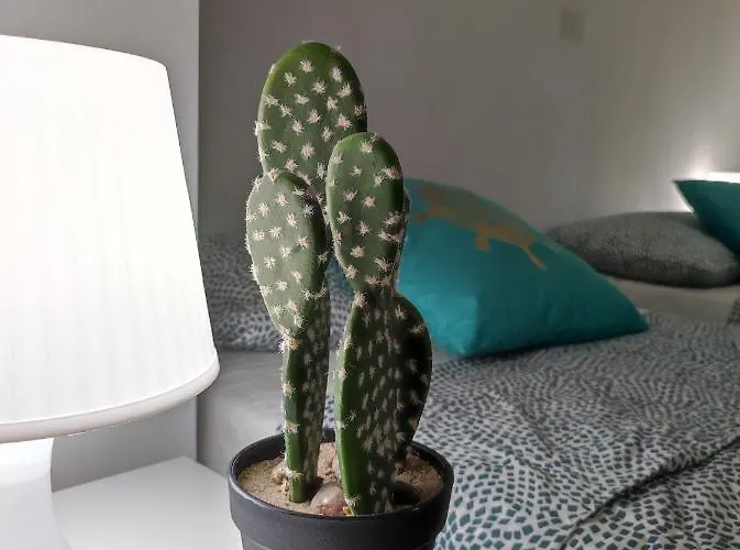 Apartman Playa Bonita Relax House *